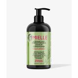 Mielle Rosemary Mint Blend STRENGTHENING Leave-In Conditioner 12oz