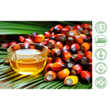 Style My Edges Rosemary Oil & Batana Oil 60ml