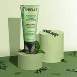 Mielle Organics Rosemary Mint Clarifying Sugar Scalp Scrub - 6oz - URBAN BEAUTE