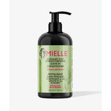 Mielle Rosemary Mint Blend STRENGTHENING Leave-In Conditioner 12oz