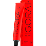IGORA ROYAL 4-65 Medium Brown Chocolate Gold 60 ml - URBAN BEAUTE