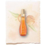 Oil Ultime Argan Finishing Oil  100ml