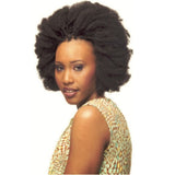 Cherish Bulk - Afro Kinky 24 Color: 1